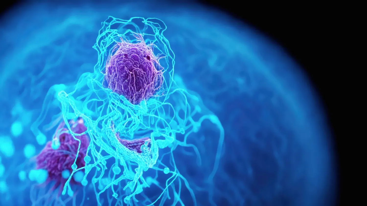 السرطان يتنكر في شكل فيروس... لكن جهاز المناعة يرصده