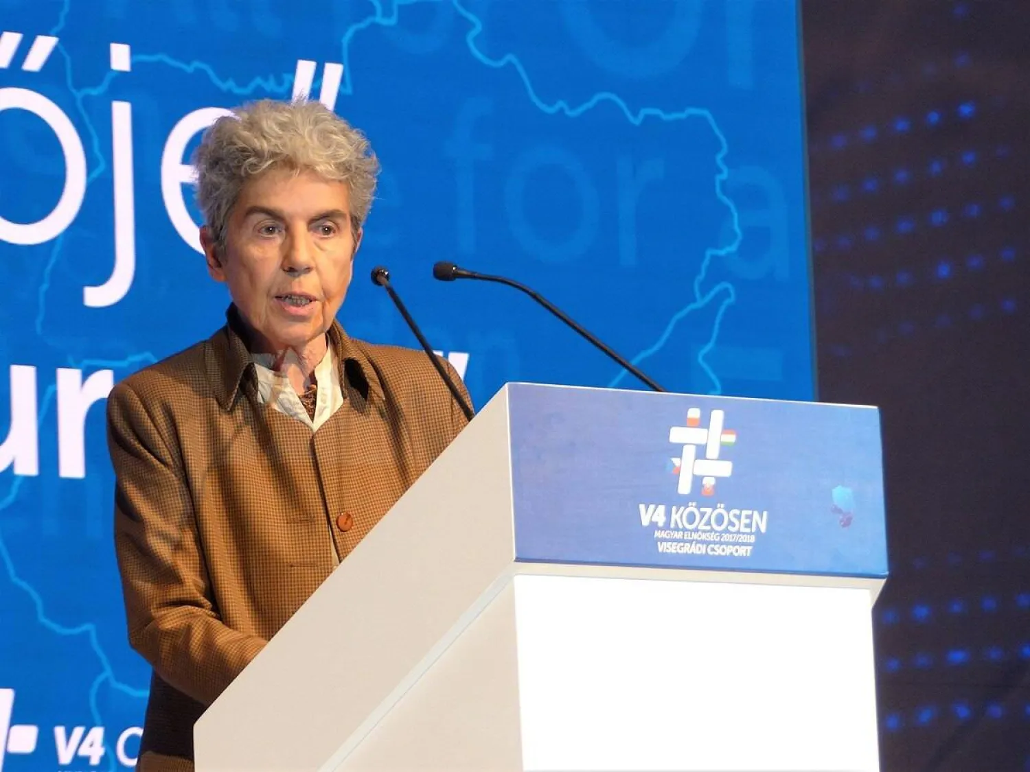 شانتال ديلسول