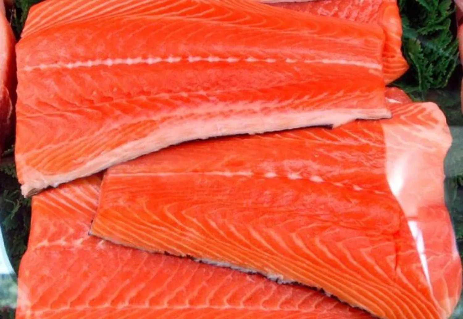 «فيتامين د» موجود في الأسماك الزيتية أو دهنية (أرشيفية - رويترز)