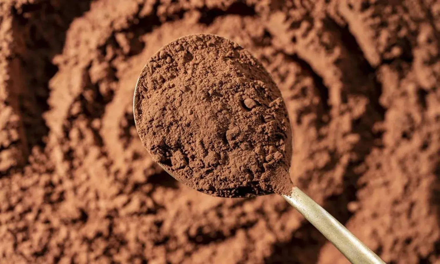 الكاكاو من المشروبات الغنية بمركّبات الفلافانول (جامعة برمنغهام)