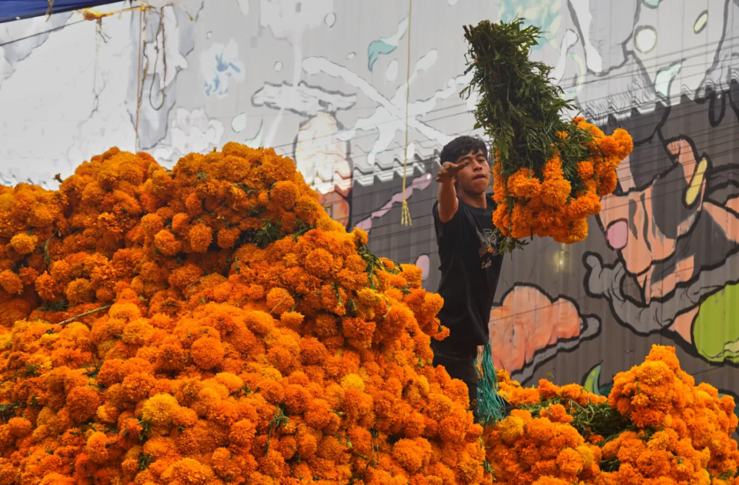 A worker unloads marigold flowers, known as cempasuchil, used during Day of the Dead celebrations, at the Jamaica flower market in Mexico City, Monday, Oct. 27, 2025. (AP Photo/Jon Orbach)