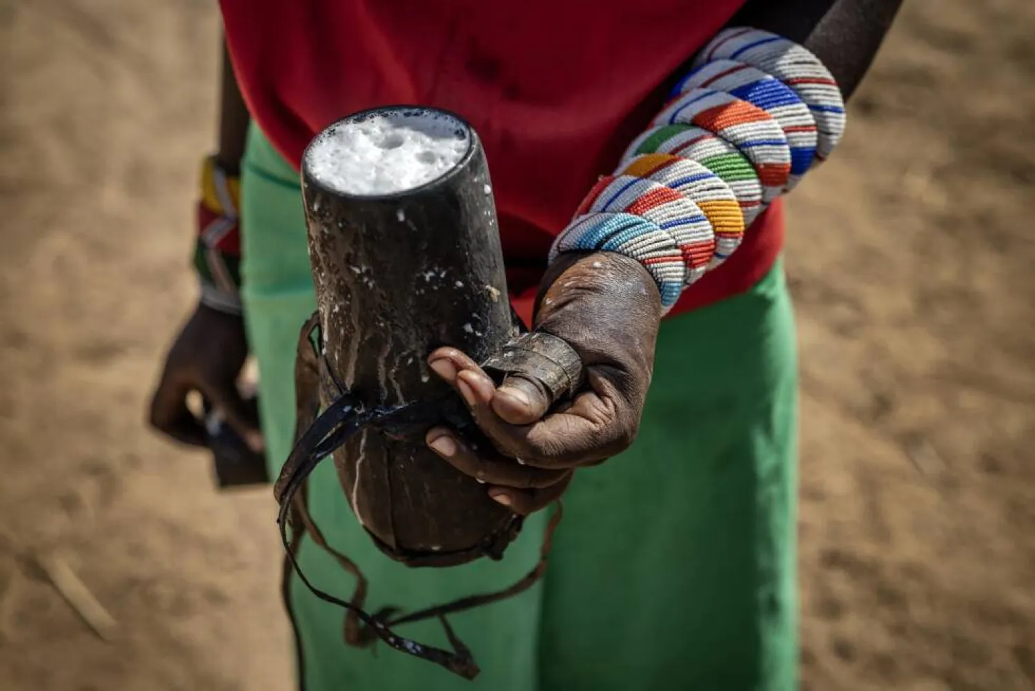 Camel milk contributes up to half the total nutrient intake during droughts. Luis TATO / AFP
