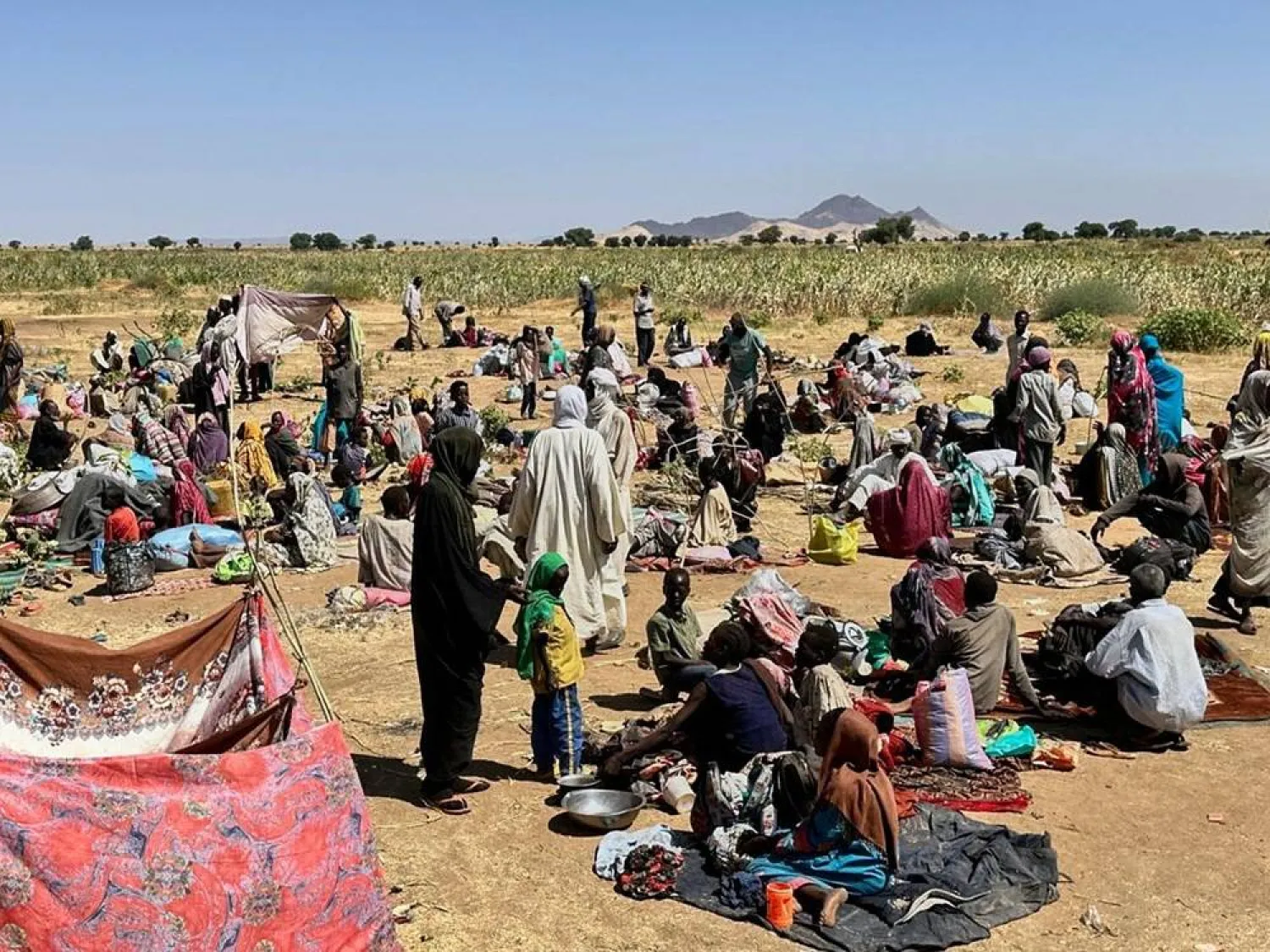  This photo released by The Norwegian Refugee Council (NRC), shows displaced families from El-Fasher at a displacement camp where they sought refuge from fighting between government forces and the RSF, in Tawila, Darfur region, Sudan, Friday, Oct. 31, 2025. (NRC via AP) 