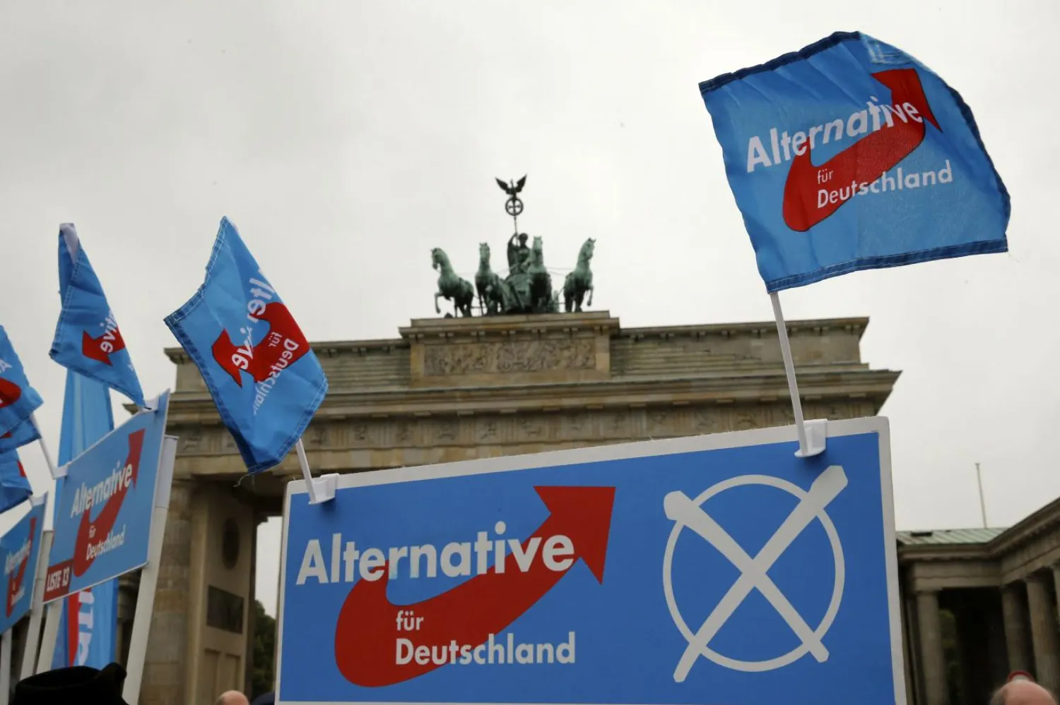 Almanya'da AfD yükselişte olsa bile ana akım siyasette henüz kendine yer edinemedi (Reuters)