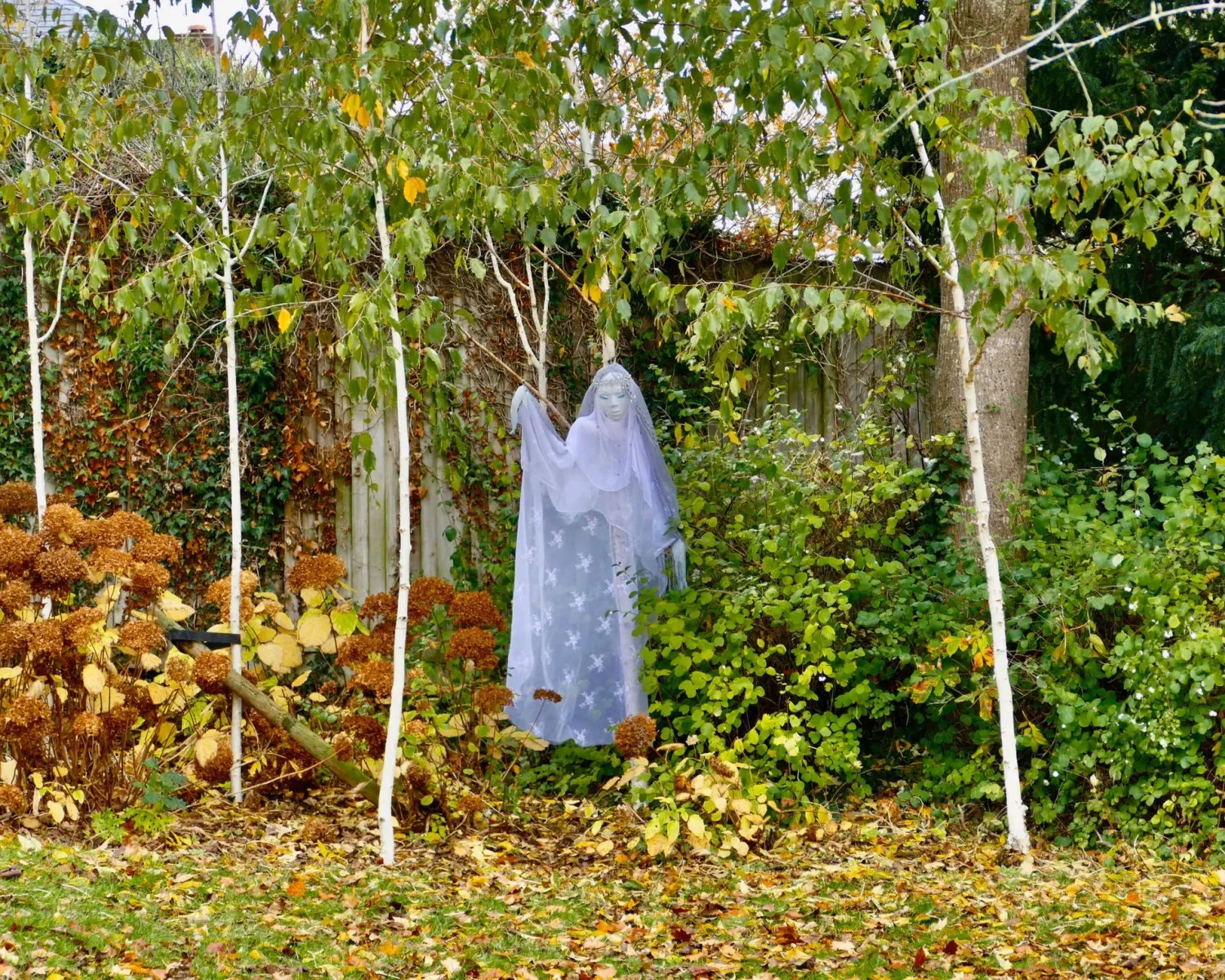 الأرواح تعود إلى واجهة الحكاية الشعبية (شاترستوك)