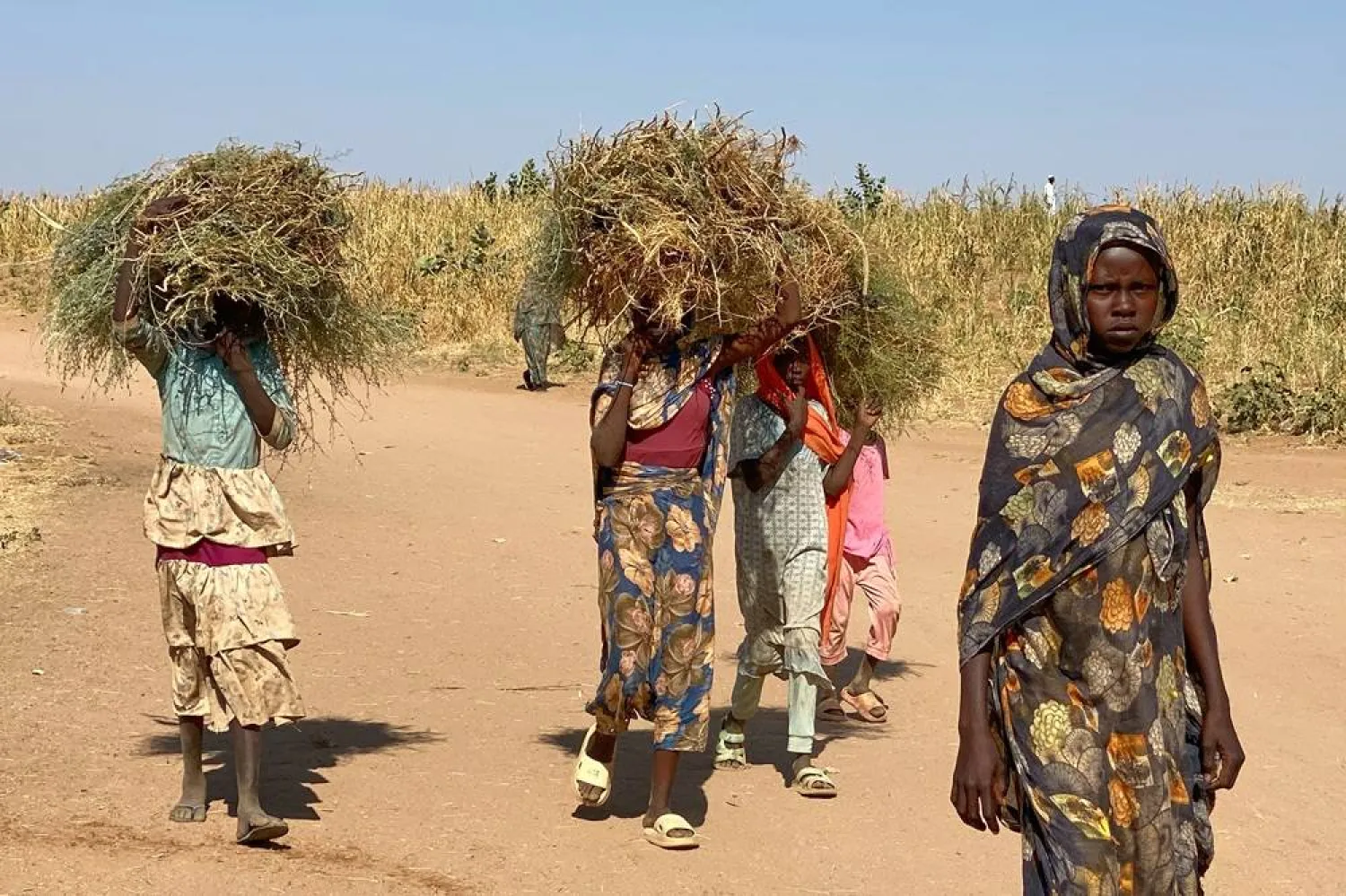  Displaced Sudanese who fled El-Fasher city, after Sudan's paramilitary forces killed hundreds of people in the western Darfur region, carry firewood at their camp in Tawila, Sudan, Thursday, Oct. 30, 2025. (AP) 