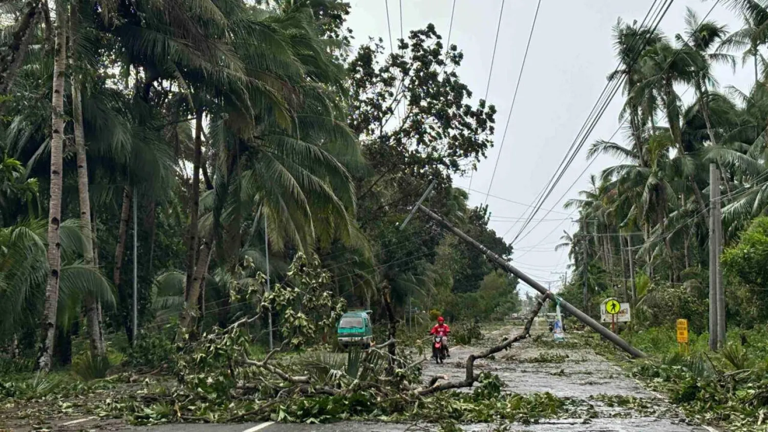 A motorist drives past a fallen electric post and trees on a highway in the aftermath of Typhoon Kalmaegi in Mayorga, Leyte province. AFP
