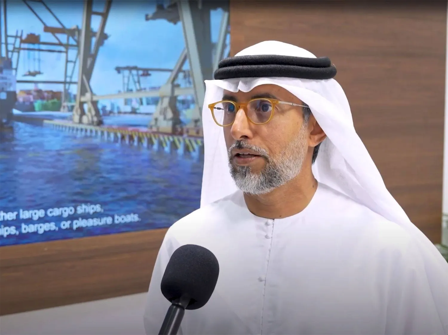 سهيل المزروعي وزير الطاقة الإماراتي