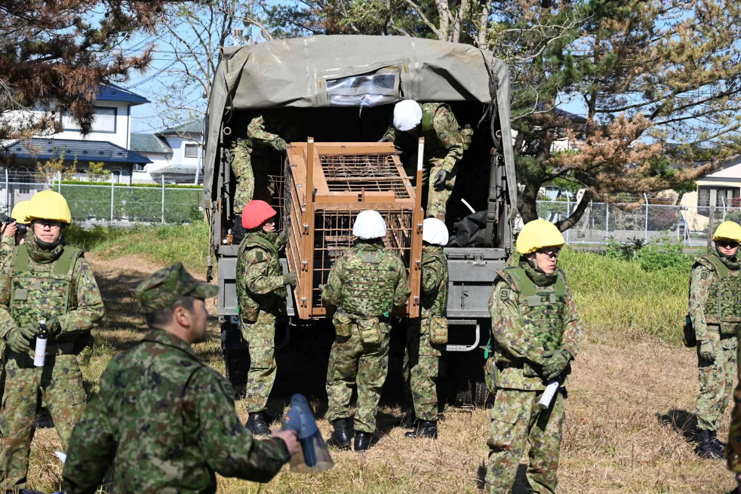 In this photo provided by the Japan Self-Defense Forces Akita Camp, Self-Defense forces personnel unload a bear cage from a military truck in JSDF Akita Camp, Akita, northern Japan, Thursday, Oct. 30, 2025. (JSDF Akita Camp via AP) 