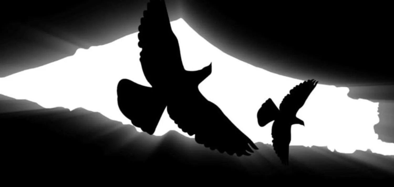 المعرض يقدم أعمالاً عن الحرية والقضية الفلسطينية (منظمو المعرض)