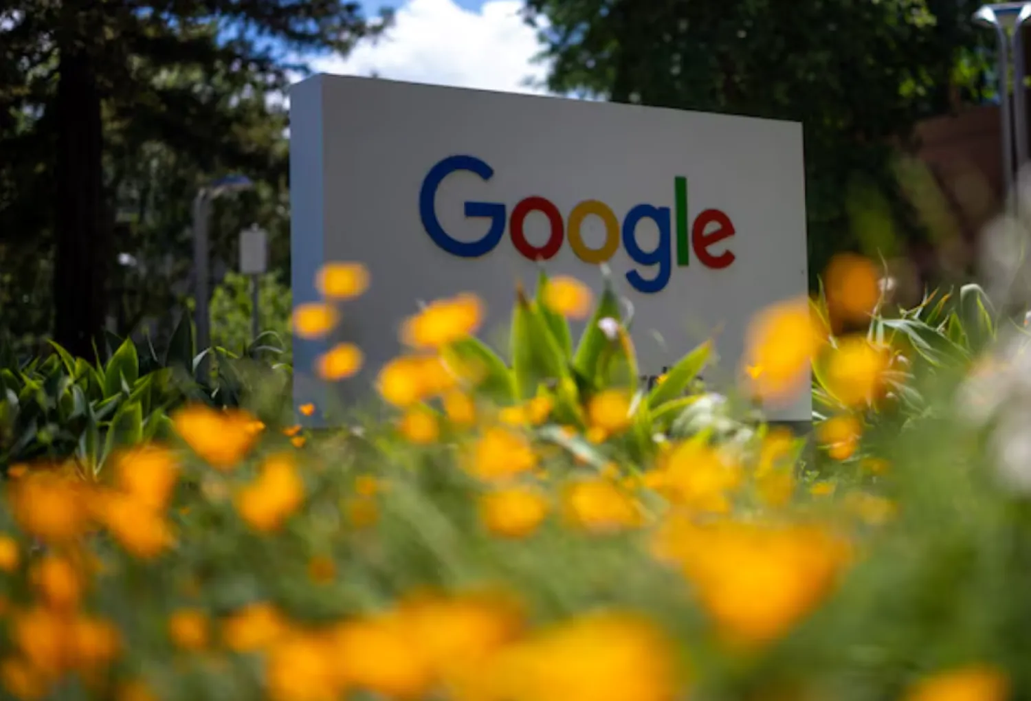 A Google logo is seen at a company research facility in Mountain View, California, US, May 13, 2025. REUTERS