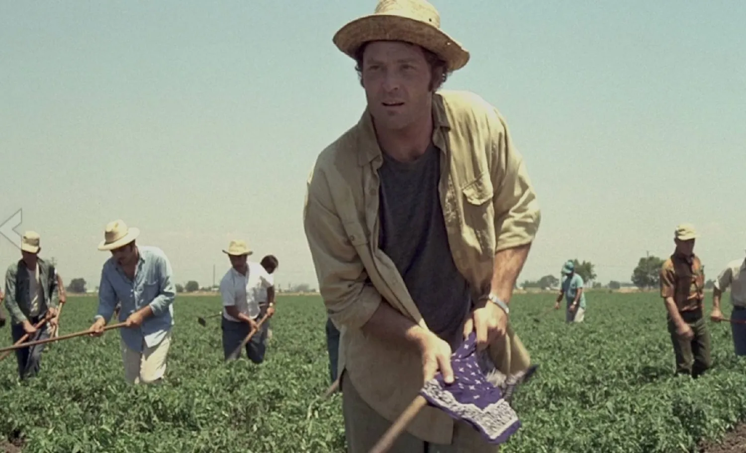 «مدينة سمينة»: ستايسي كيتش ملاكم في الحقل (كولمبيا بيكتشرز)