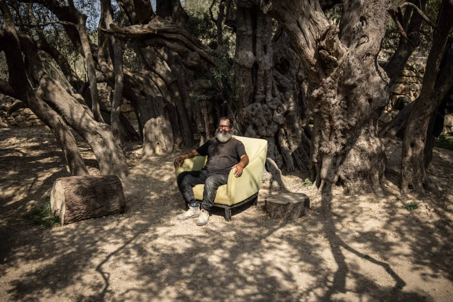 Salah Abu Ali, 52, official guardian of Palestinians alleged oldest olive tree, between 3,000 and 5,000 years old poses for a portrait under it in Al-Walajah, occupied West Bank on November 4, 2025. (AFP)