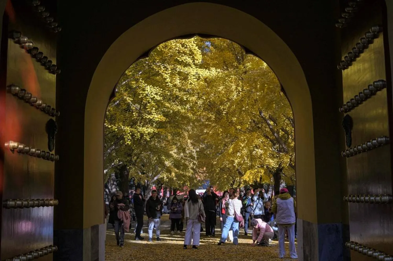  People watch golden Ginkgo leaves as they visit the Zhongshan Park in Beijing on November 9, 2025. (AFP)