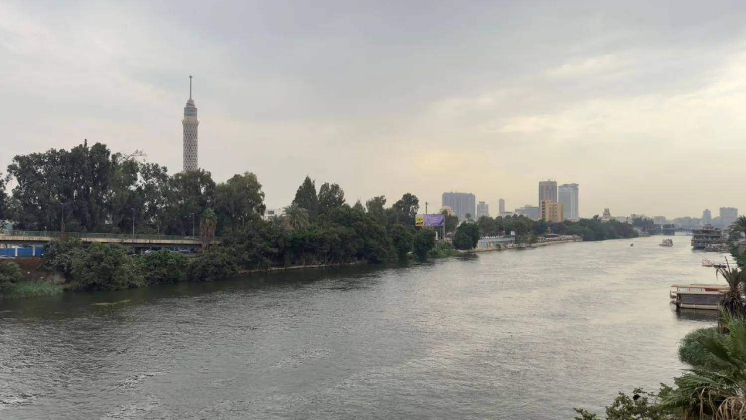 «الخارجية المصرية» أكدت أنها تبذل كافة الجهود لدعم الجالية المصرية في مالي (تصوير عبد الفتاح فرج)