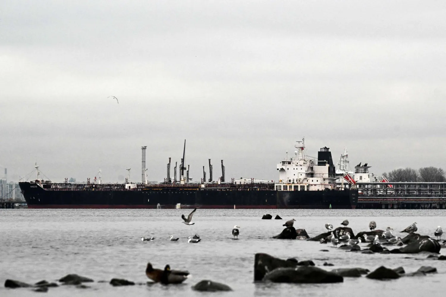  ناقلة نفط راسية في محطة نفطية بميناء سانت بطرسبرغ (أ.ف.ب)