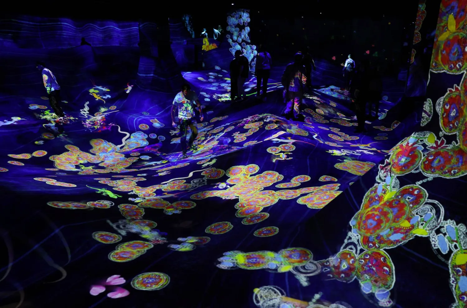 Visitors watch digital artwork at teamLab Biovortex in Kyoto, Japan, November 9, 2025. REUTERS/Kim Kyung-Hoon
