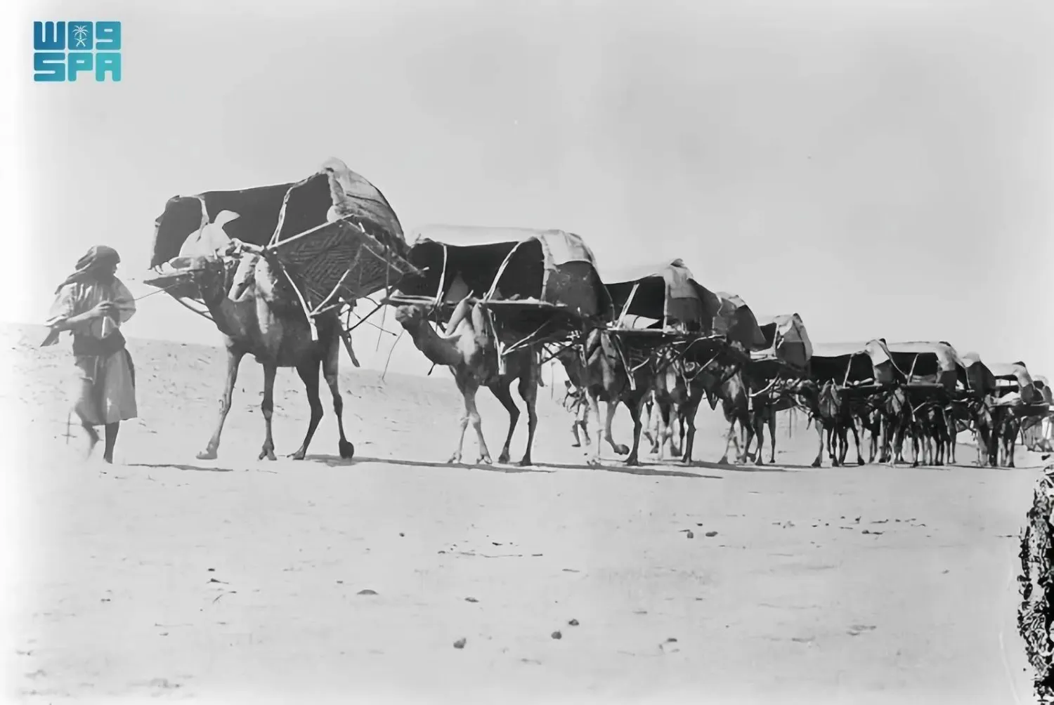 The pavilion features rare photos and historical documents illustrating the evolution of Hajj transport. (SPA)