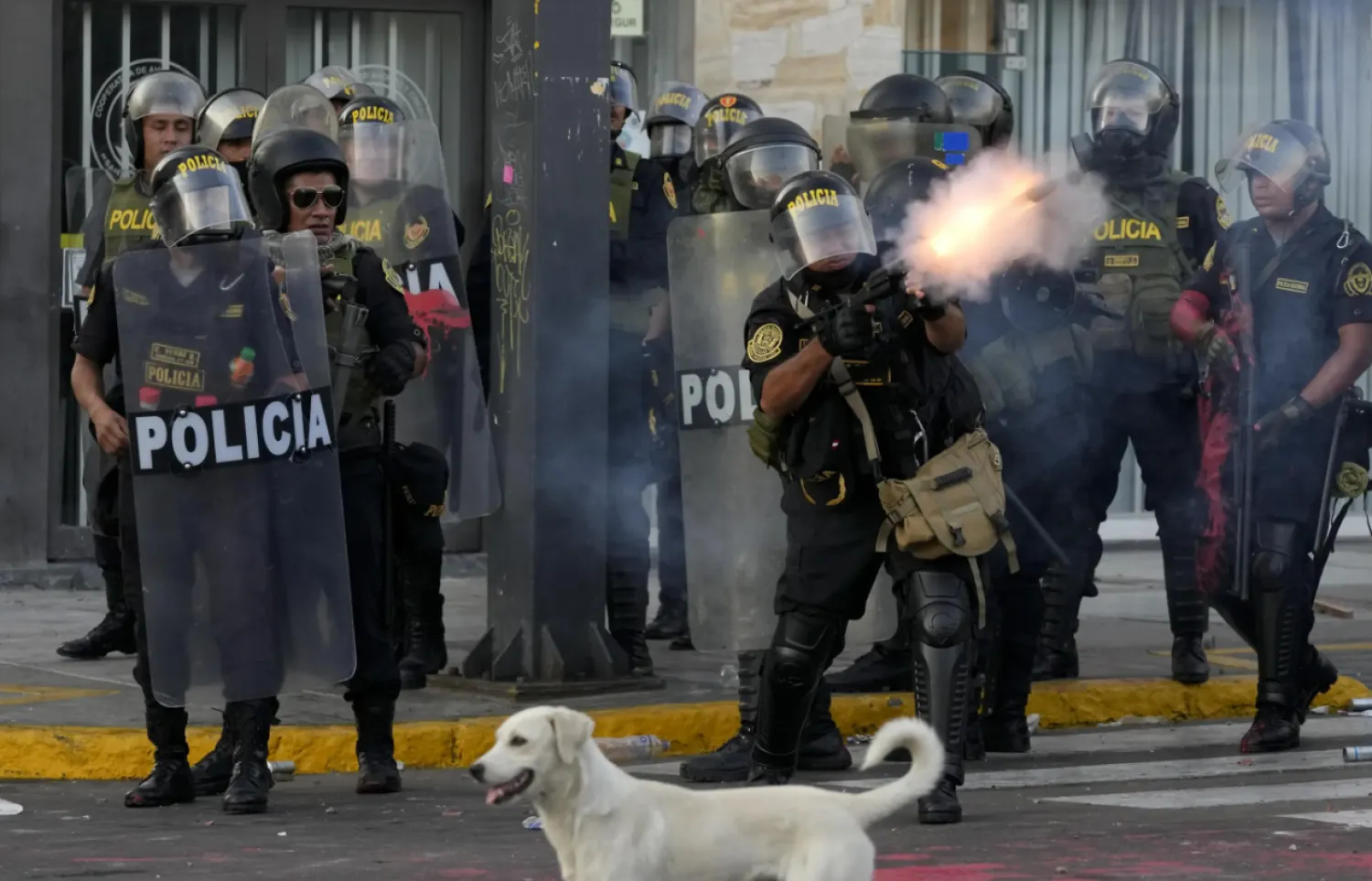 The health manager of the Arequipa region said the bus hit a pickup truck and it went off a road on a curve, falling more than 200 meters (more than 650 feet) to the banks of the Ocoña river - (File photo of Peru police/The AP)