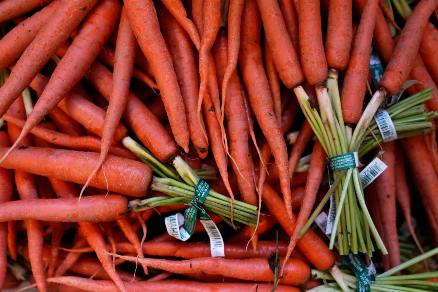 الجزر غني بمضادات الأكسدة بما في ذلك بيتا كاروتين (أ.ب)