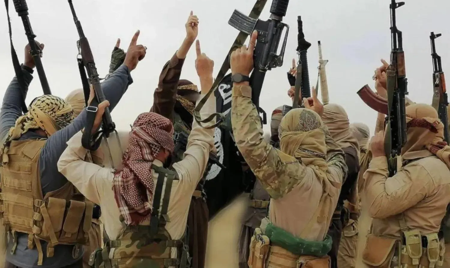 ISIS members in Syria (Syrian Observatory for Human Rights)
