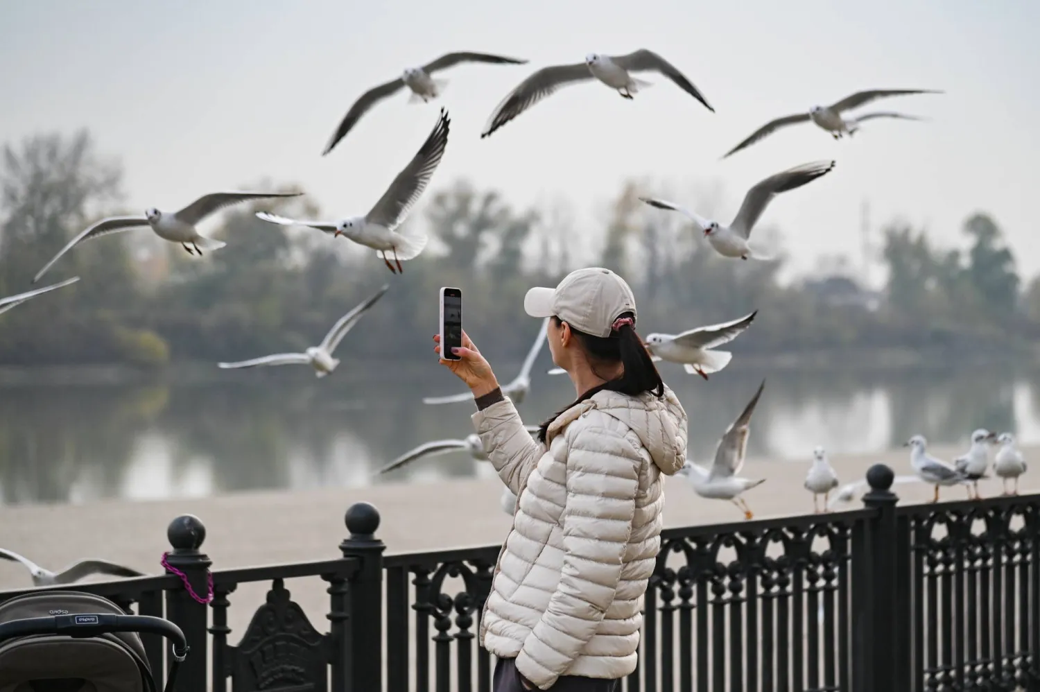 تهرب الطيور من نبرة الإنسان قبل خطوته (د.ب.أ)