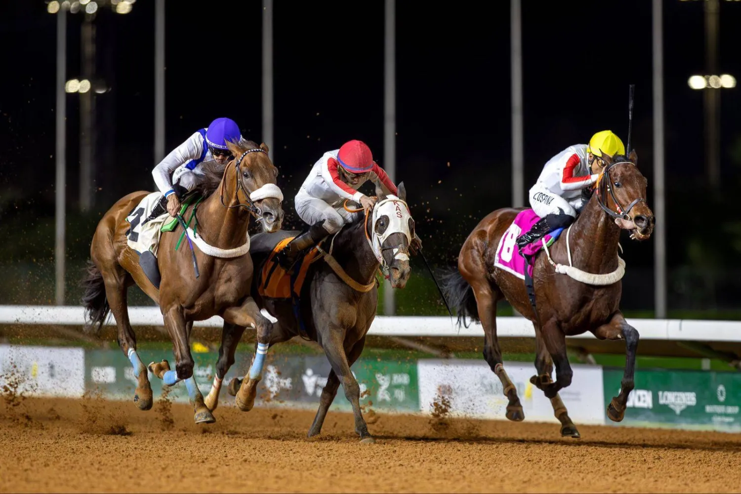 تُقام يوم الجمعة بطولة الوفاء على كأس الأمير محمد بن سعود الكبير (سباقات الخيل)