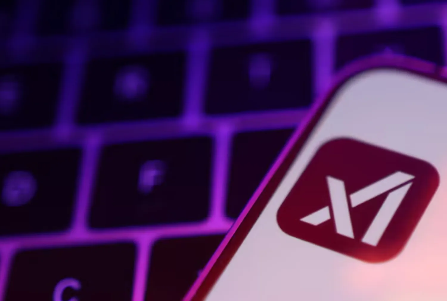 xAI logo is seen in this illustration taken, February 16, 2025. REUTERS/Dado Ruvic/Illustration