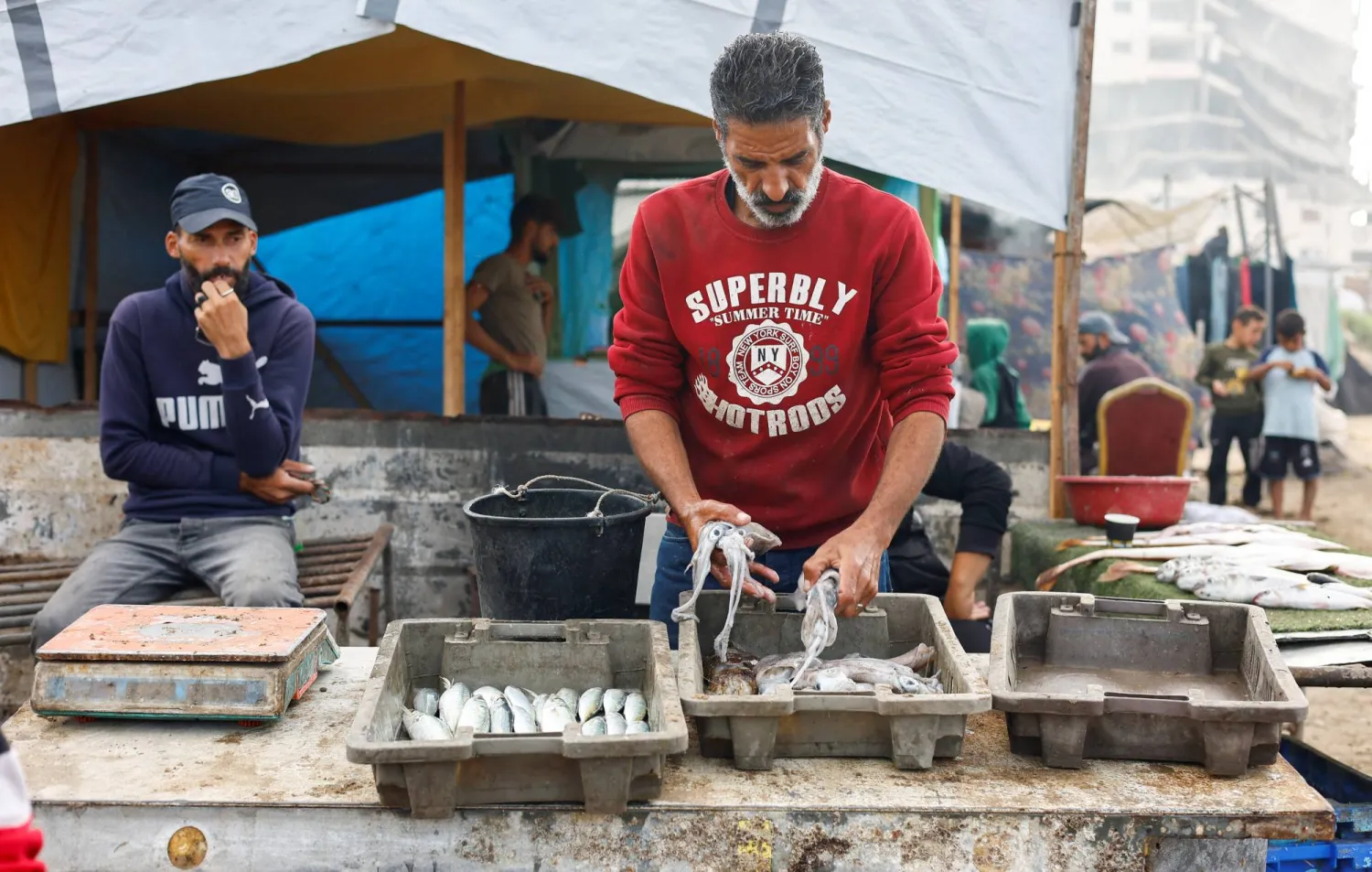 عودة سوق السمك أول مؤشرات وقف إطلاق النار وعودة الحياة إلى مرفأ غزة (رويترز)
