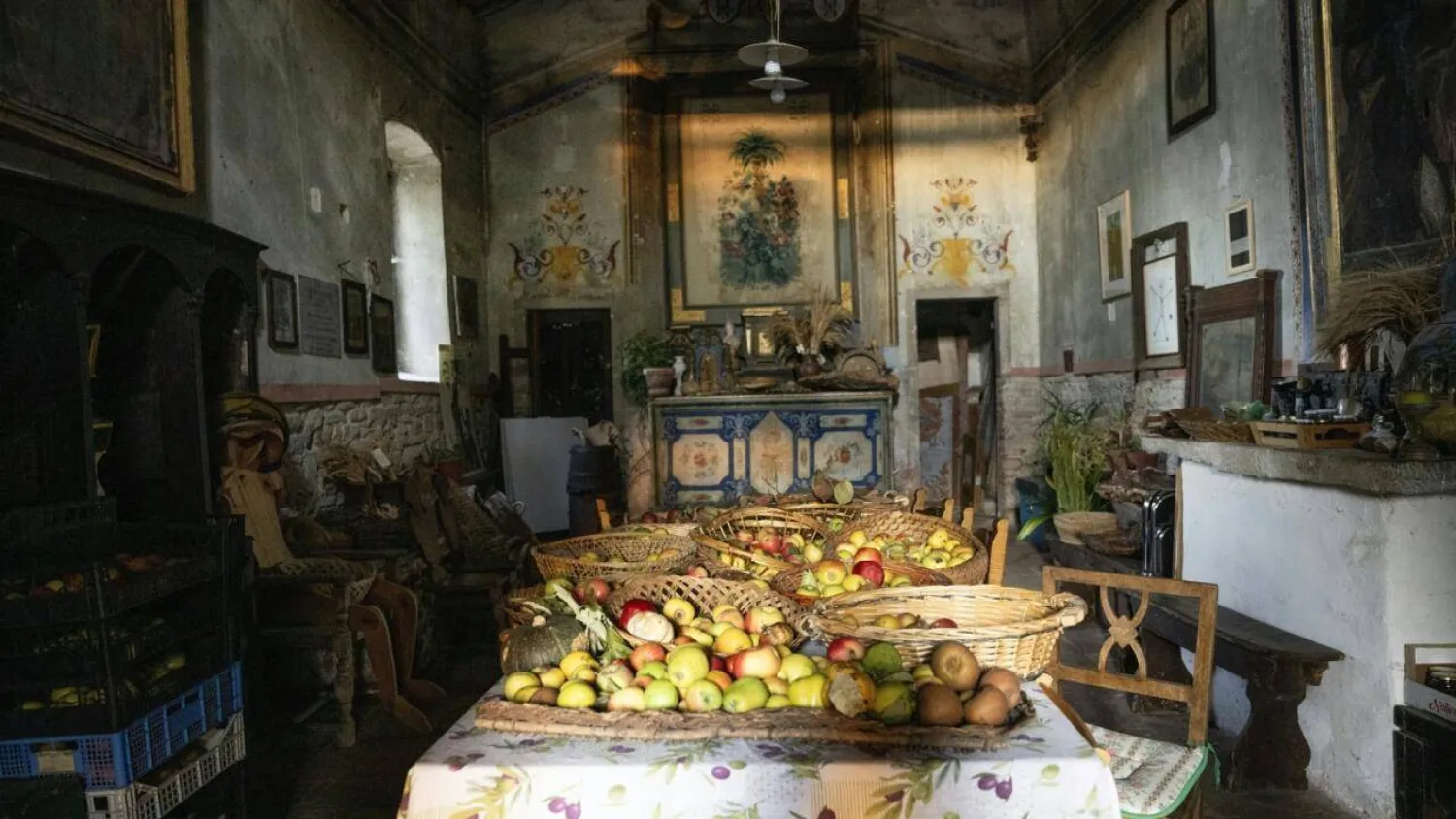 The Archeologia Arborea foundation saves fruit varieties to restore biodiversity and build resilience against climate change. Tiziana FABI / AFP
