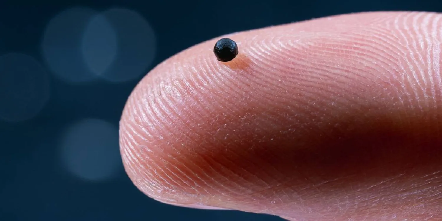 الميكروروبوت يتكون من كبسولة كروية صغيرة للغاية مصنوعة من غلاف جيلاتيني قابل للذوبان (المعهد الفيدرالي السويسري للتكنولوجيا)