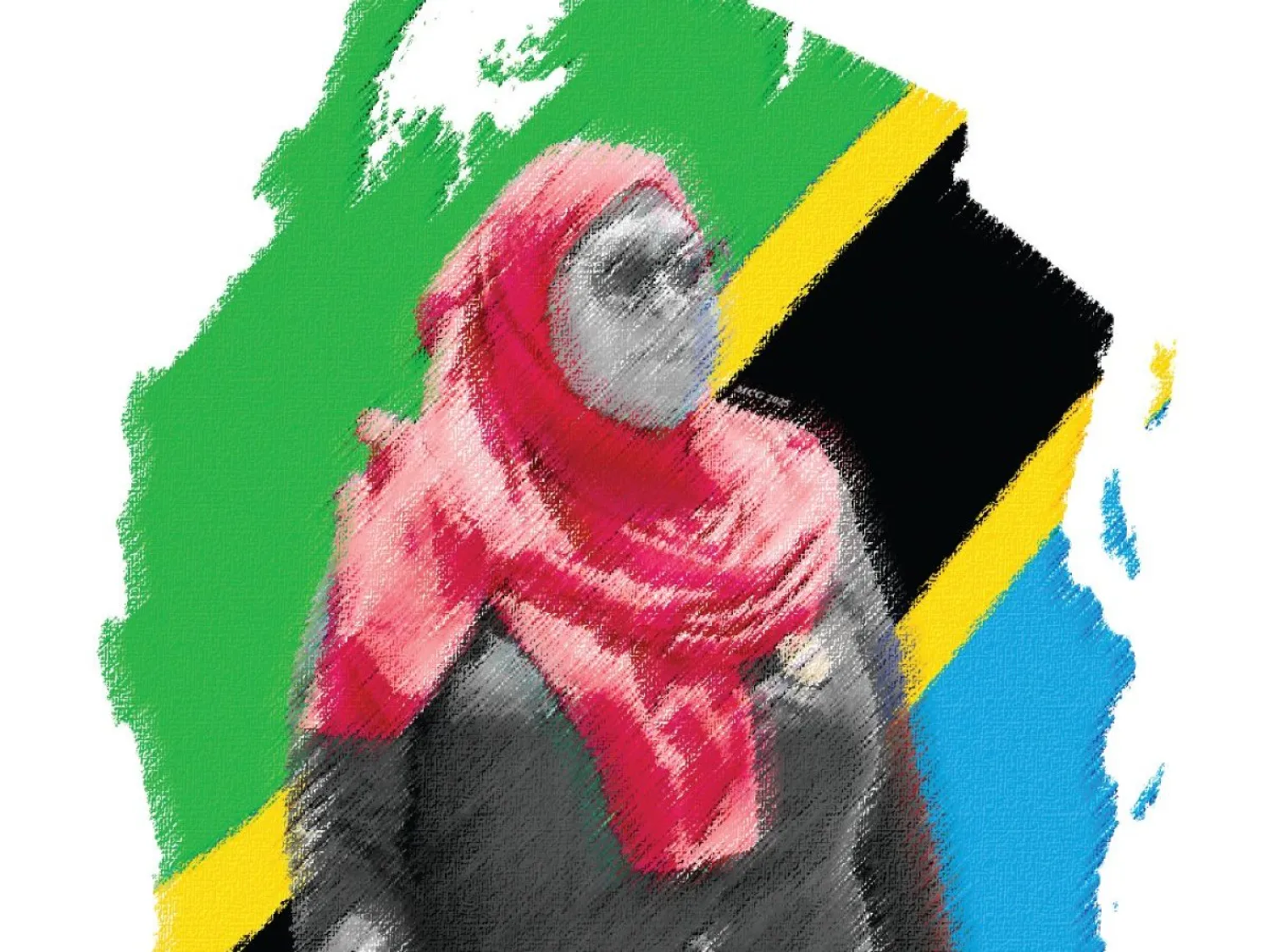 واصلت الرئيسة بناء علاقات متوازنة مع القوى الكبرى المتنافسة أفريقياً، بالذات الصين والولايات المتحدة، محاولةً الحفاظ على استقلال القرار التنزاني