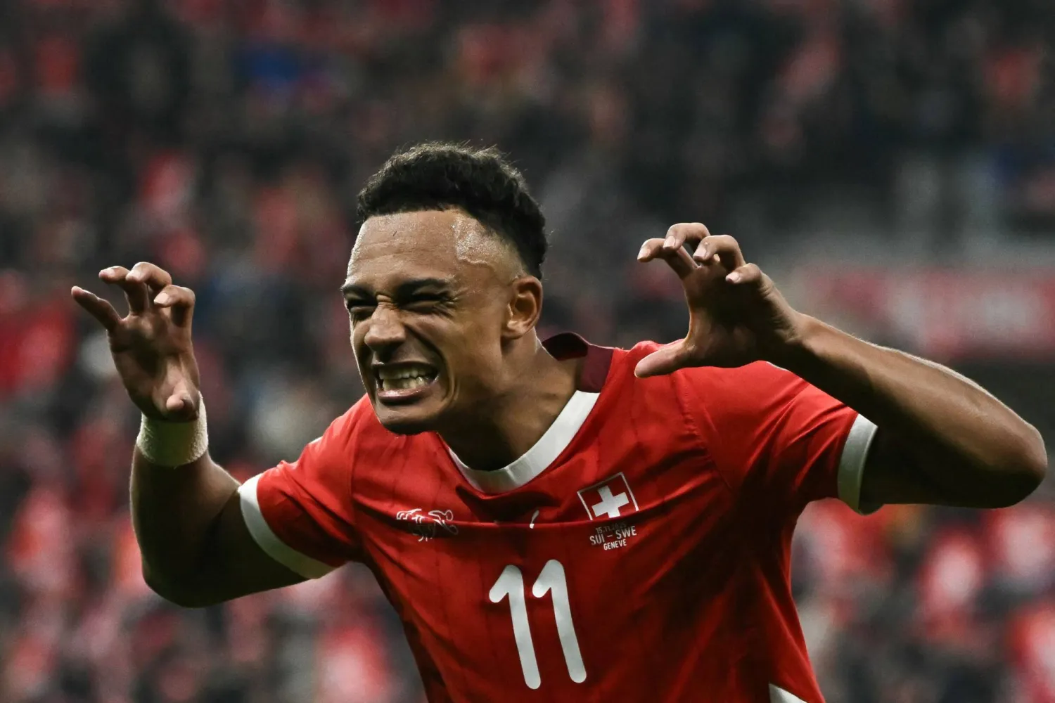 دان ندوي مهاجم سويسرا يحتفل بهدفه في مرمى السويد (أ.ف.ب)