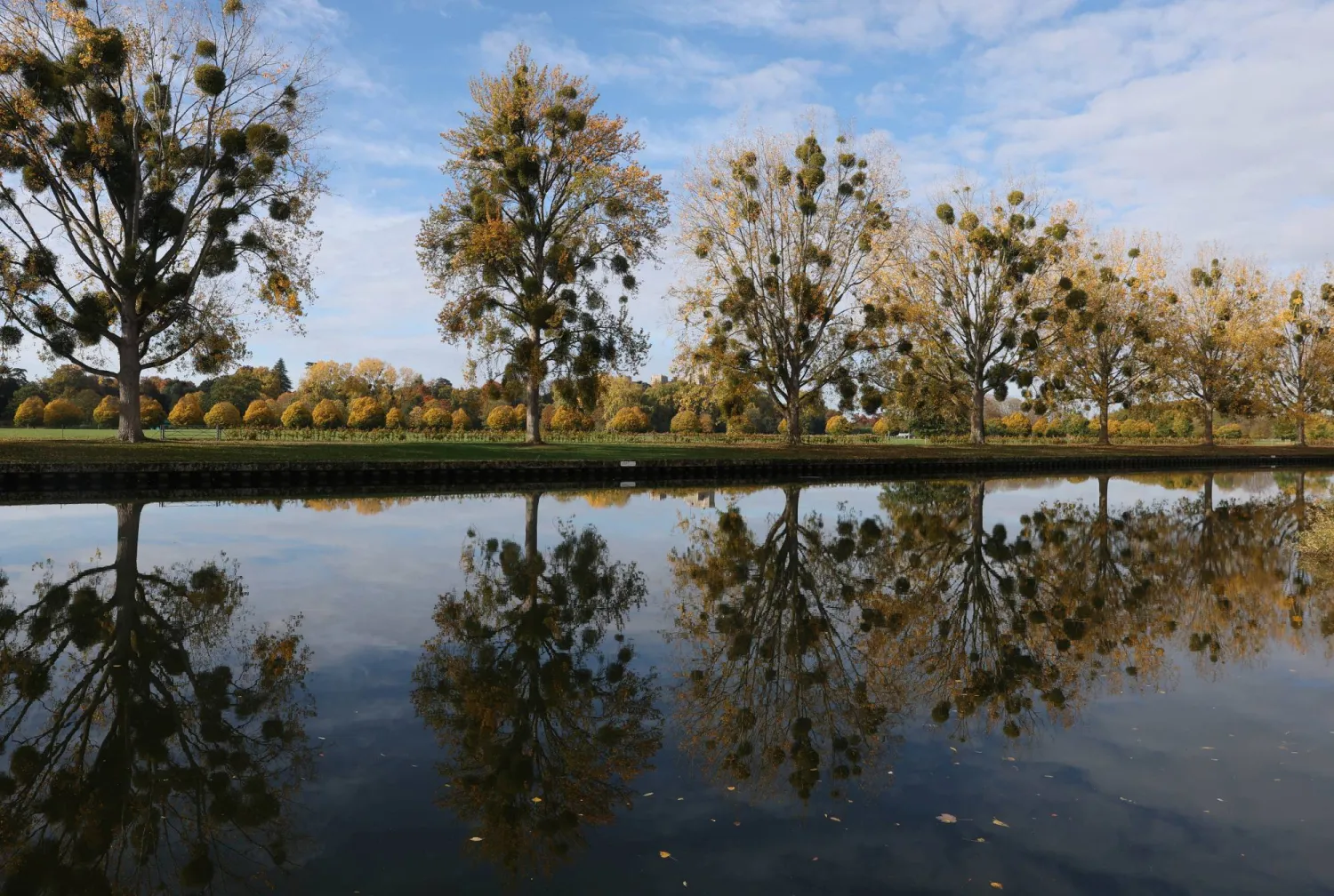 Autumn foliage is reflected in the River Thames, with Windsor Castle behind, in Windsor, Britain, October 22, 2025. REUTERS/Toby Melville