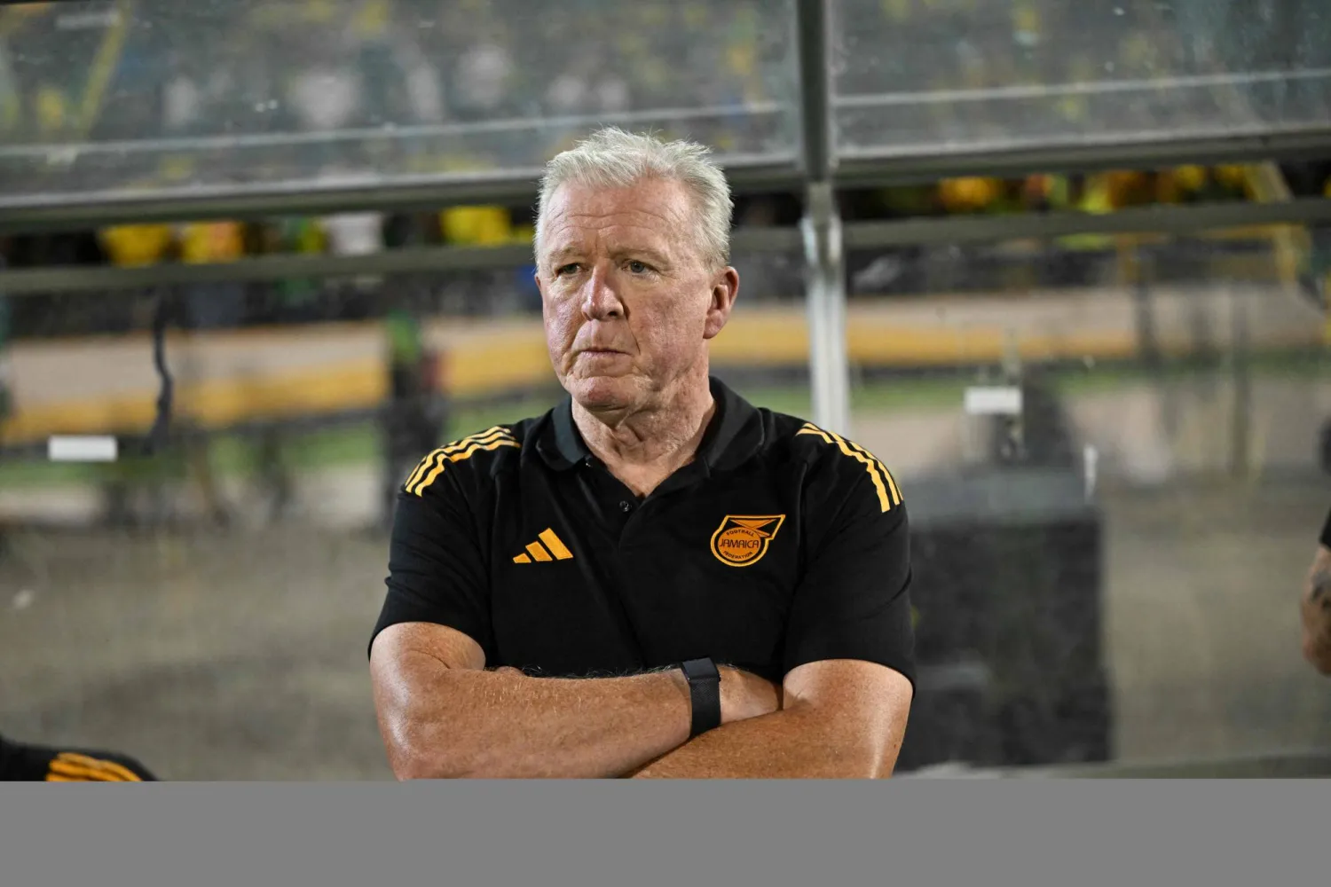 ستيف مكلارين (أ.ف.ب)