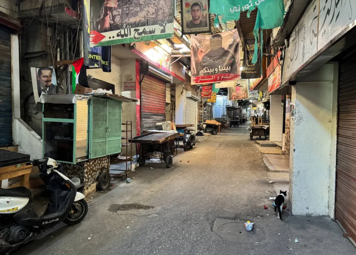 Lübnan: İsrail saldırısında hayatını kaybedenleri anmak için Ayn el-Hilve Kampı’nda grev