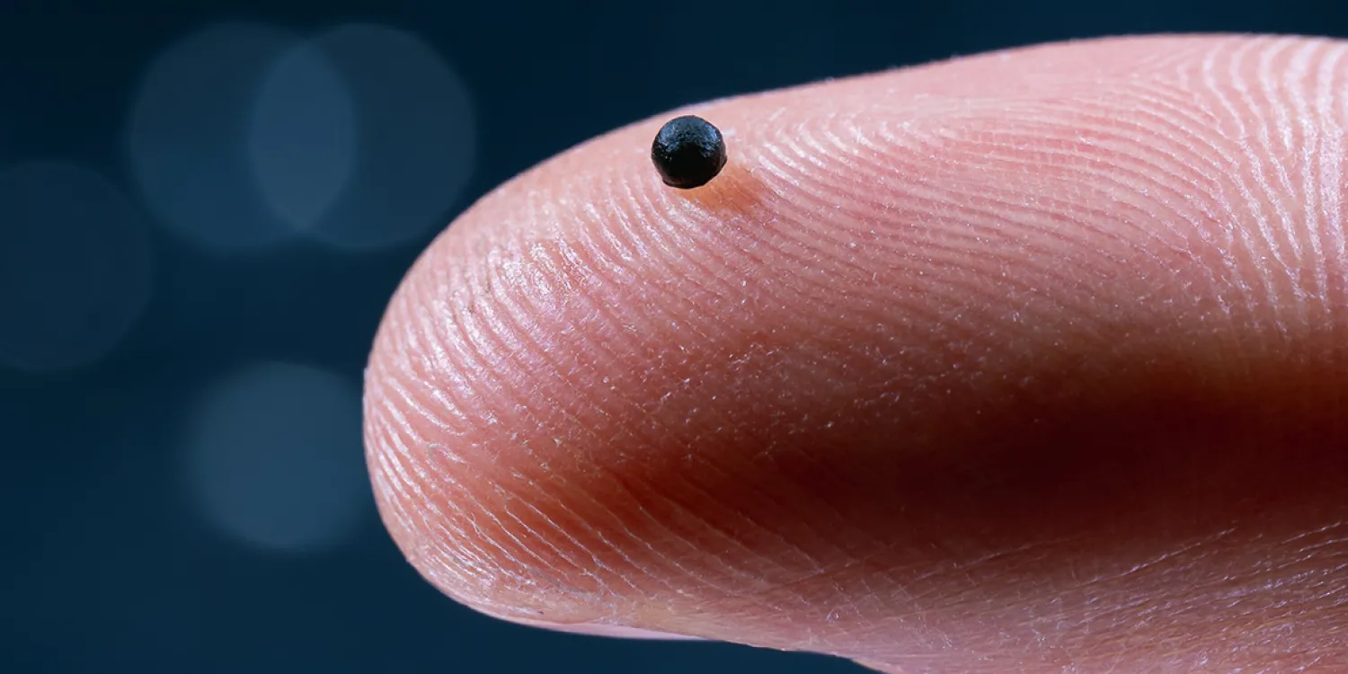 الكبسولة التي تُدار بالمغناطيس قد تكون مفيدة أيضاً في علاج تمدد الأوعية الدموية وسرطانات الدماغ (موقع المعهد الفيدرالي السويسري للتكنولوجيا)