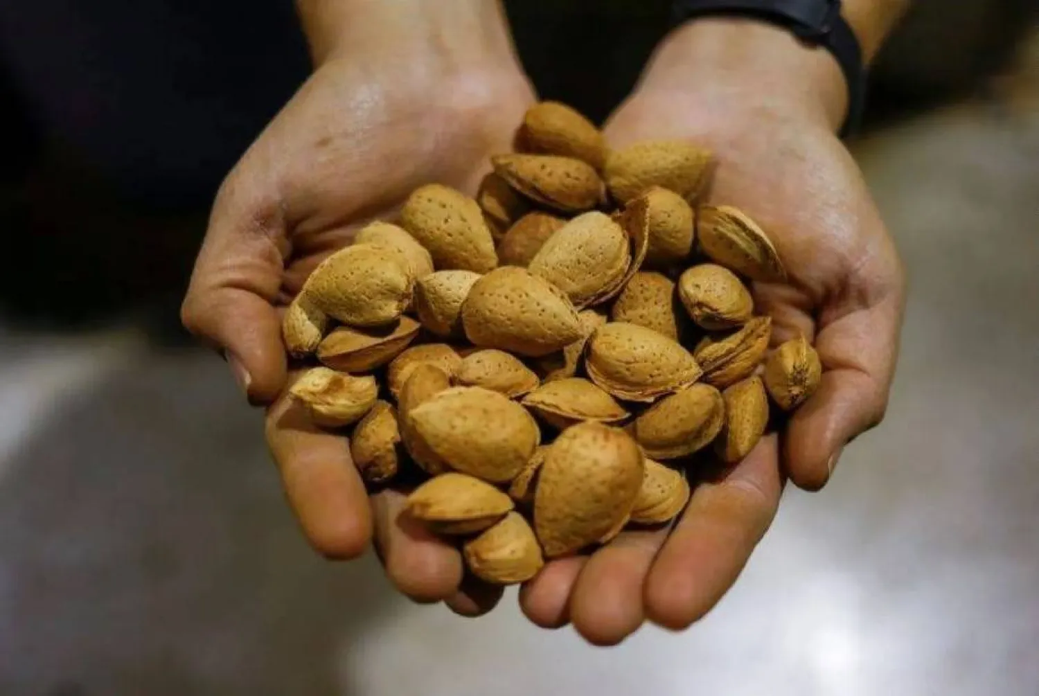 يرتبط تناول المكسرات بانتظام بالعديد من الفوائد الصحية (رويترز)