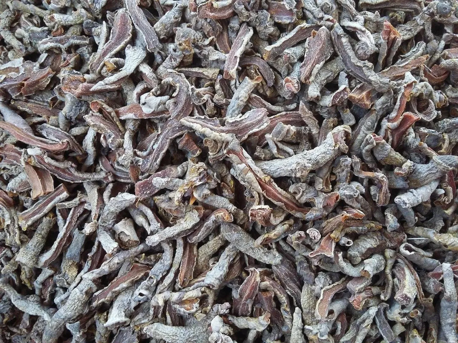 مضغ شريحة من الكركم الأسود يومياً يُعزز مناعة الجسم (بيكسباي)