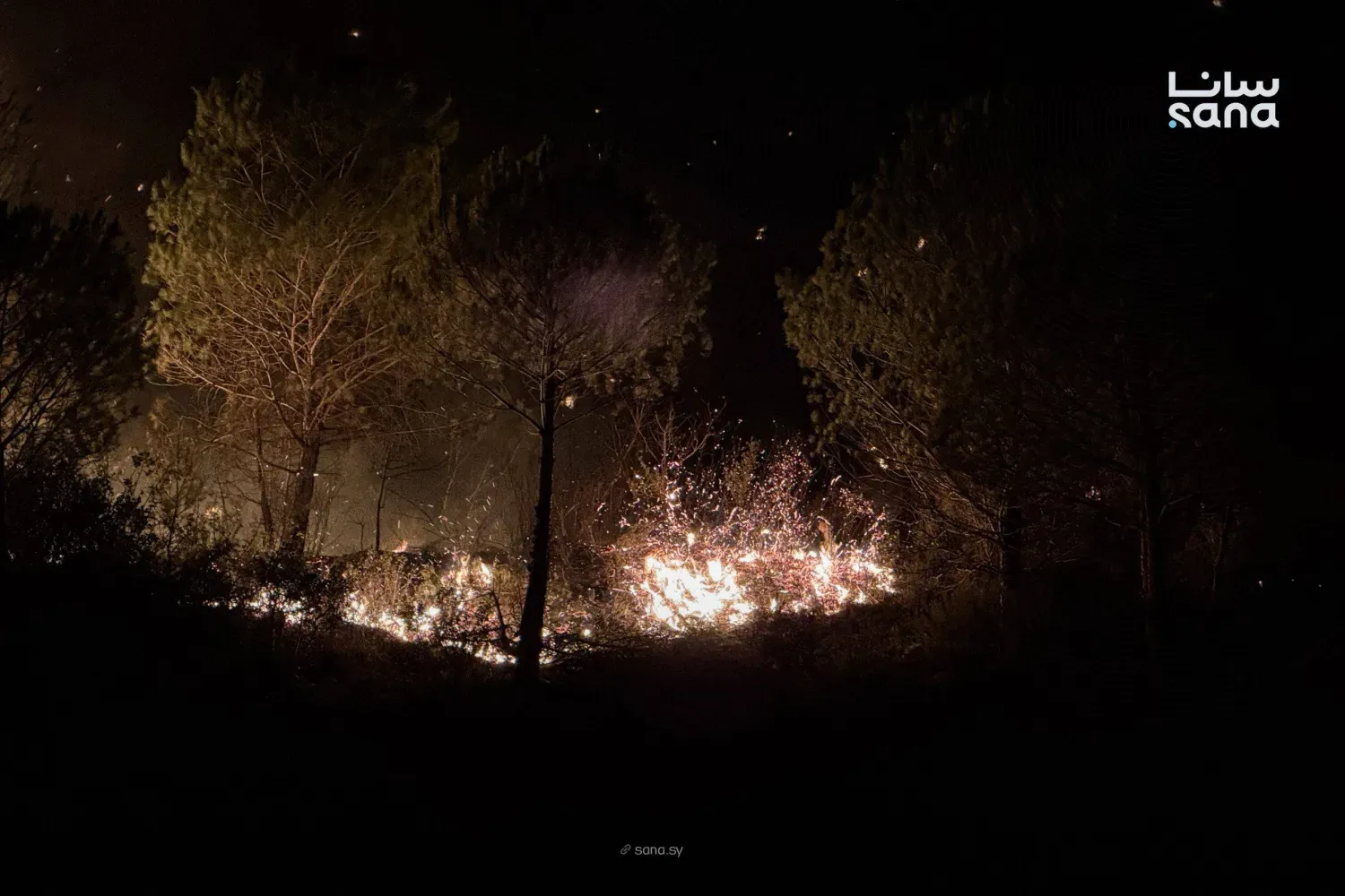 Lazkiye kırsalındaki orman yangınından, (SANA)