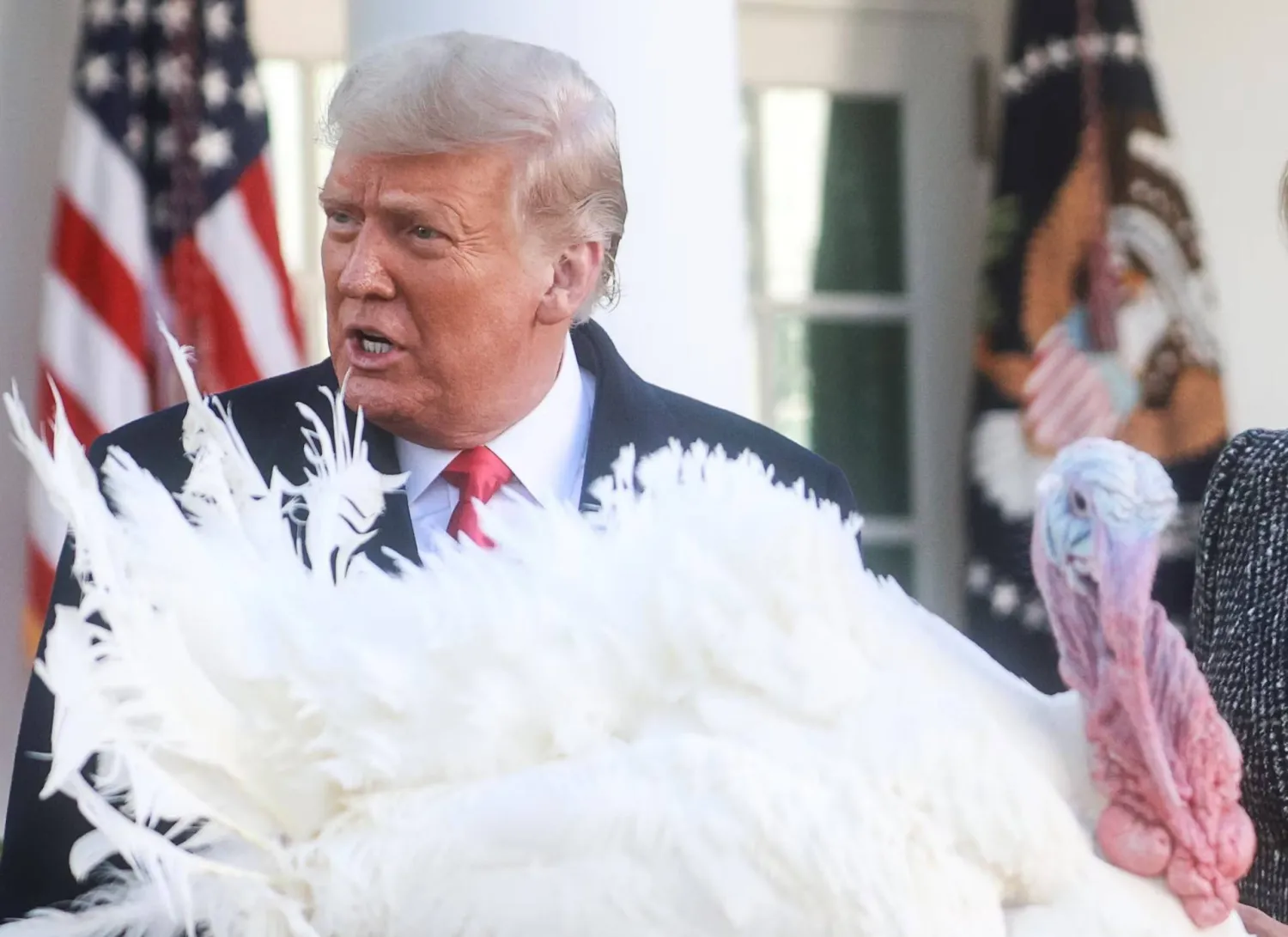 أوعز دونالد ترمب بتخفيض أسعار مكونات مائدة عيد الشكر التي في طليعتها الديك الرومي (رويترز)