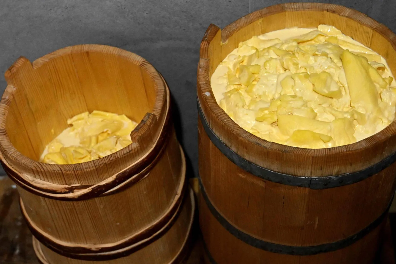 This photograph shows barrels filled with kajmak cheese at the workshop of Branka Buha in the hilly hamlet of Domrke, near the southern Bosnian town of Gacko on November 19, 2025. (AFP)