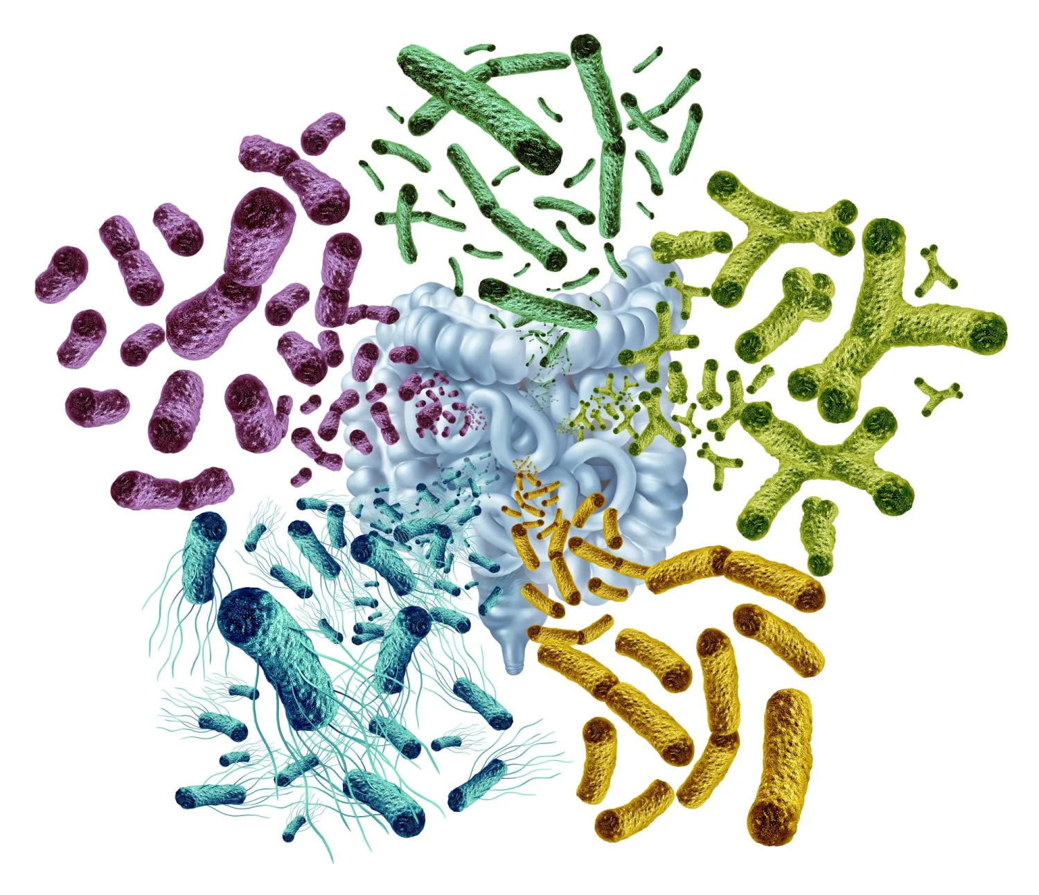 الأمعاء الصحية تنظم ضغط الدم