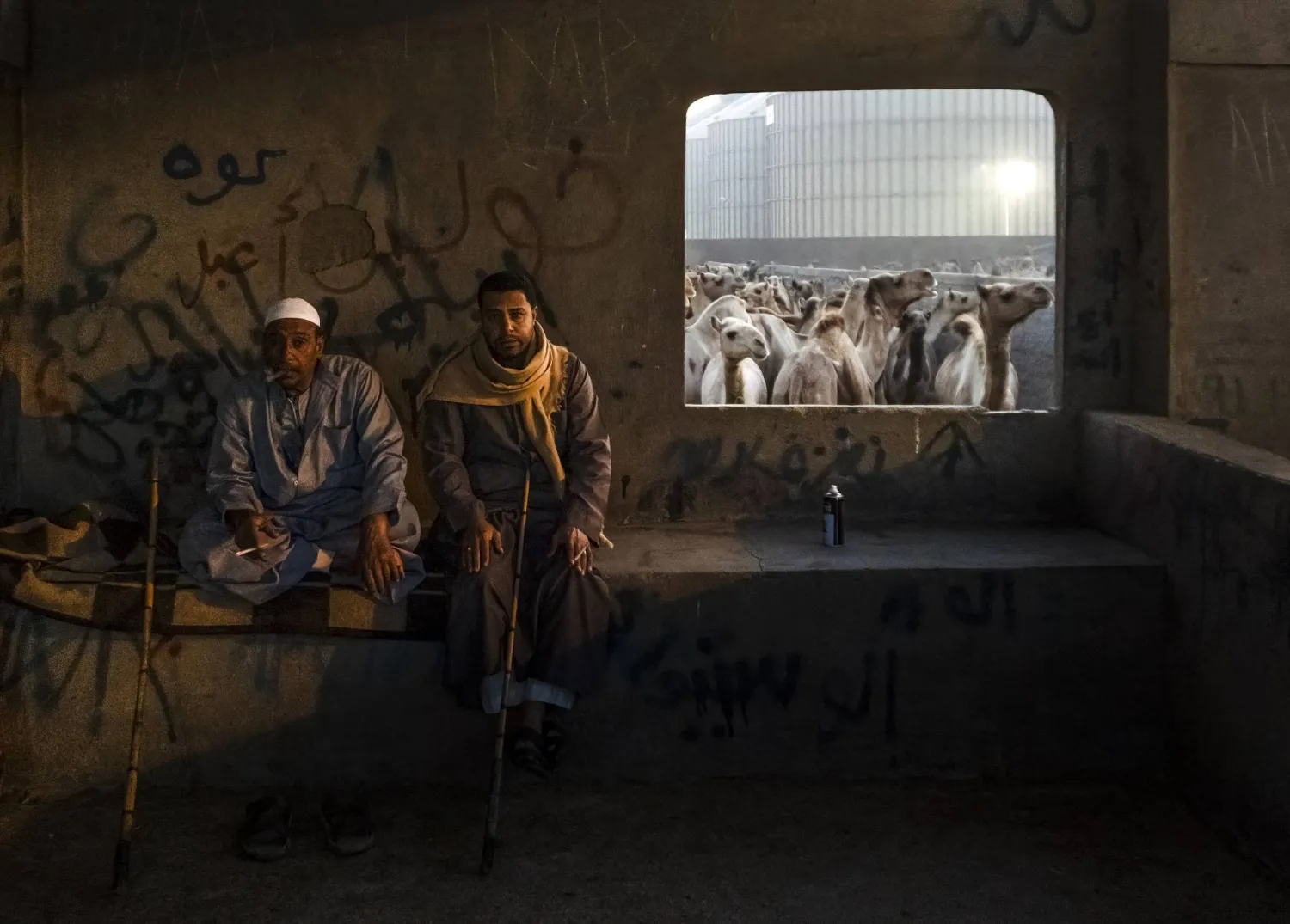 «سوق الجمال» لقطة الميدالية الذهبية (بينالي فياب للشباب)