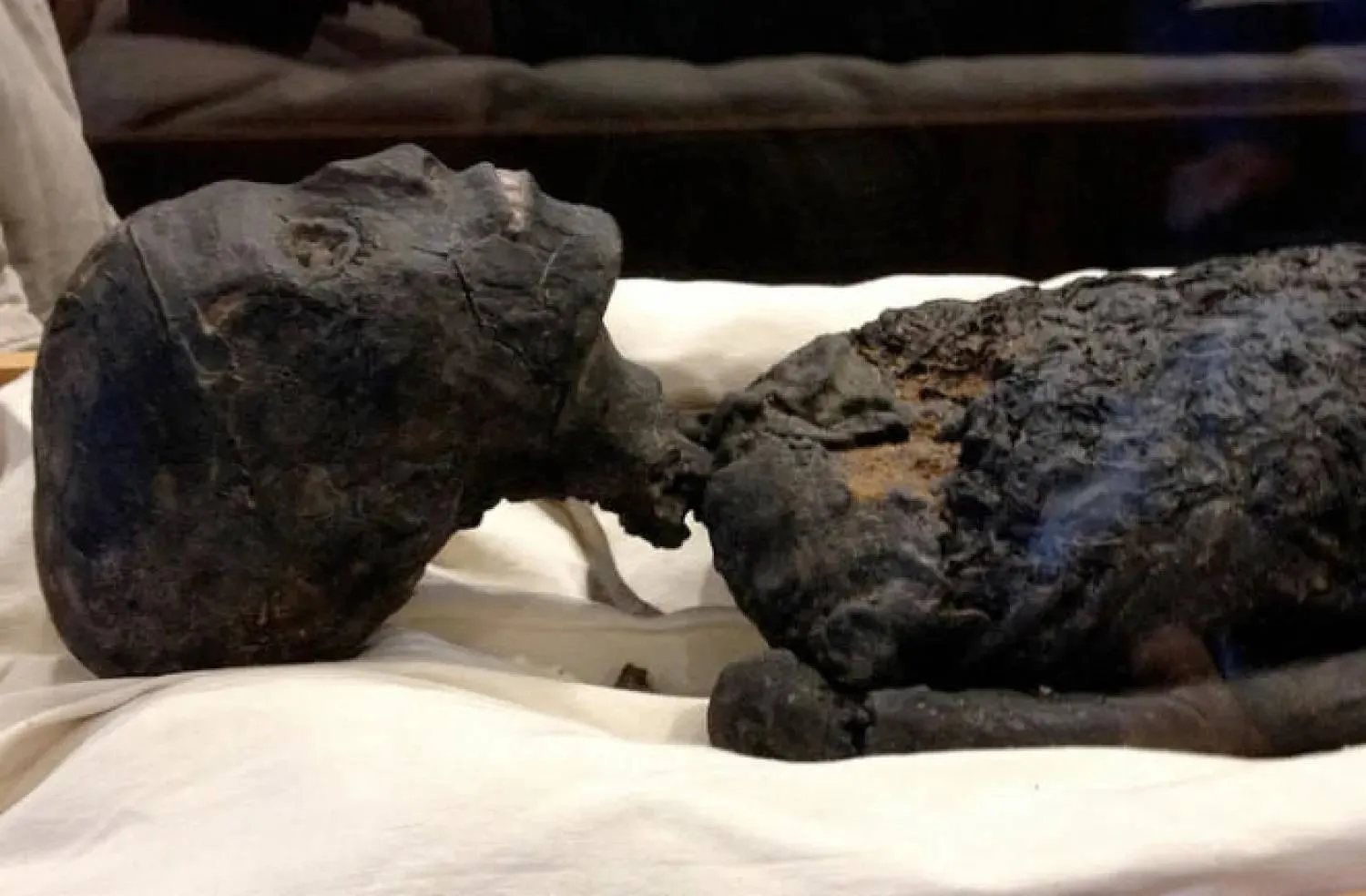 مومياء توت (وزارة السياحة والآثار المصرية)