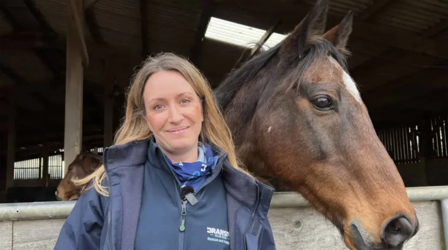 الموسيقى علاجٌ غير مُعلَن للخيول القَلِقة (إنستغرام)