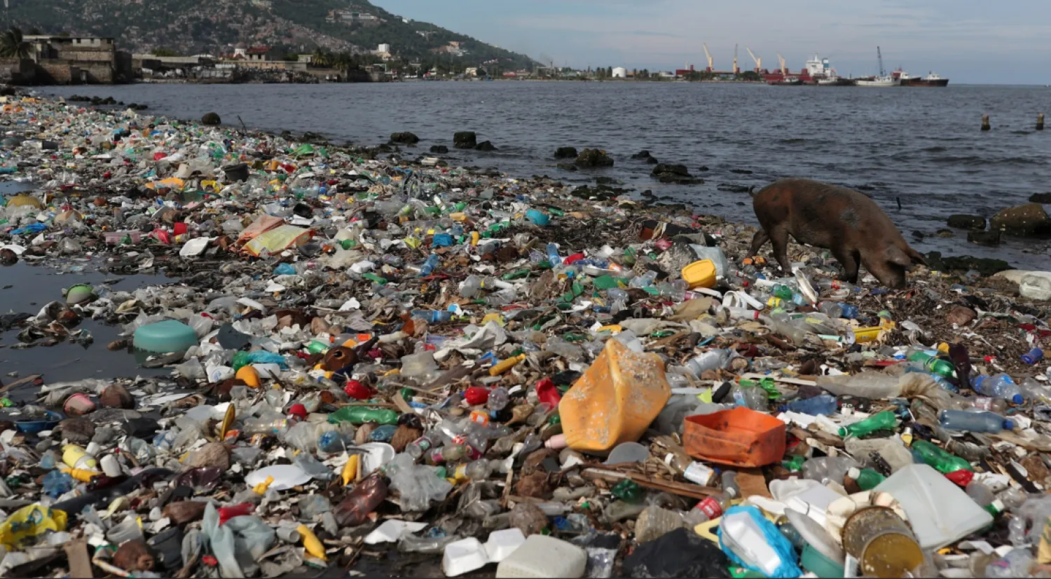 أزمة التلوث البلاستيكي تمثل تحدياً بيئياً عالمياً (رويترز)