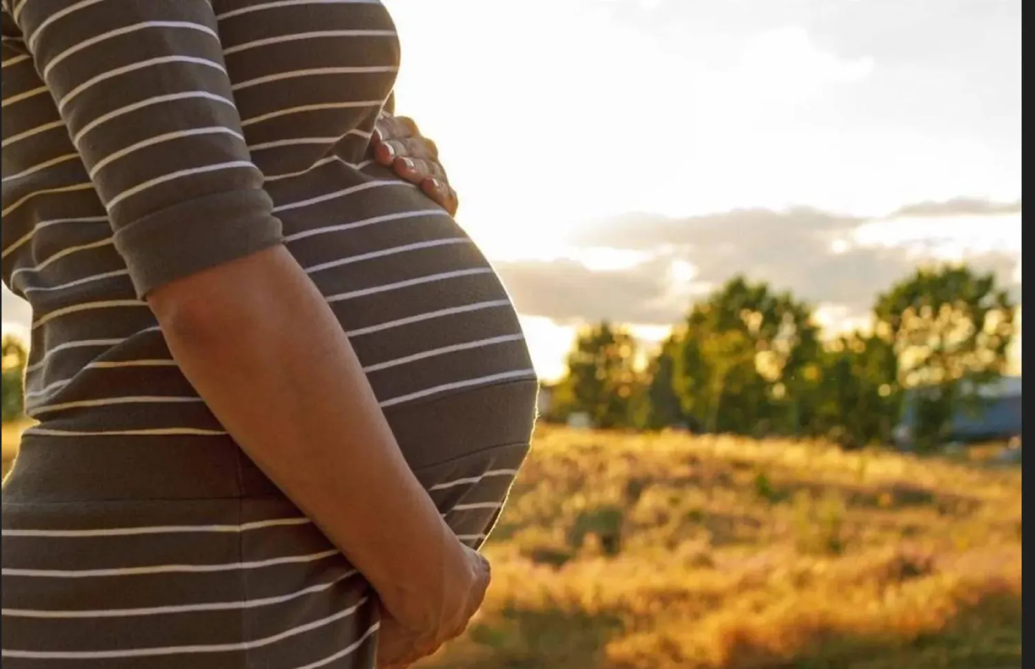 تقدم الرقعة الجديد طريقةً لدعم حملٍ أكثر أماناً من المنزل (جامعة روتجرز)