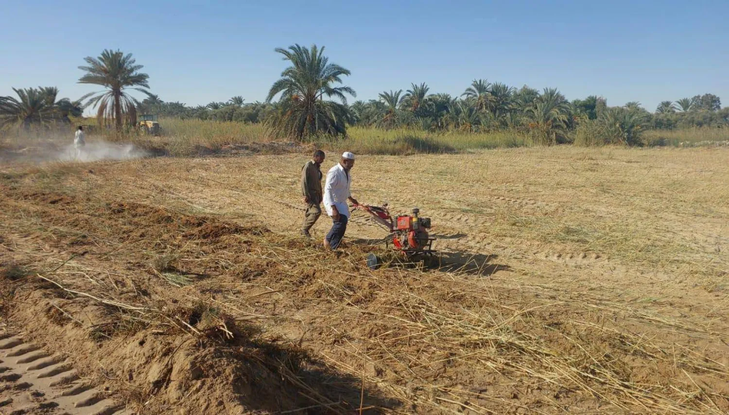 خطة مصرية شاملة للتوسع في زراعة القمح (وزارة الزراعة المصرية) 