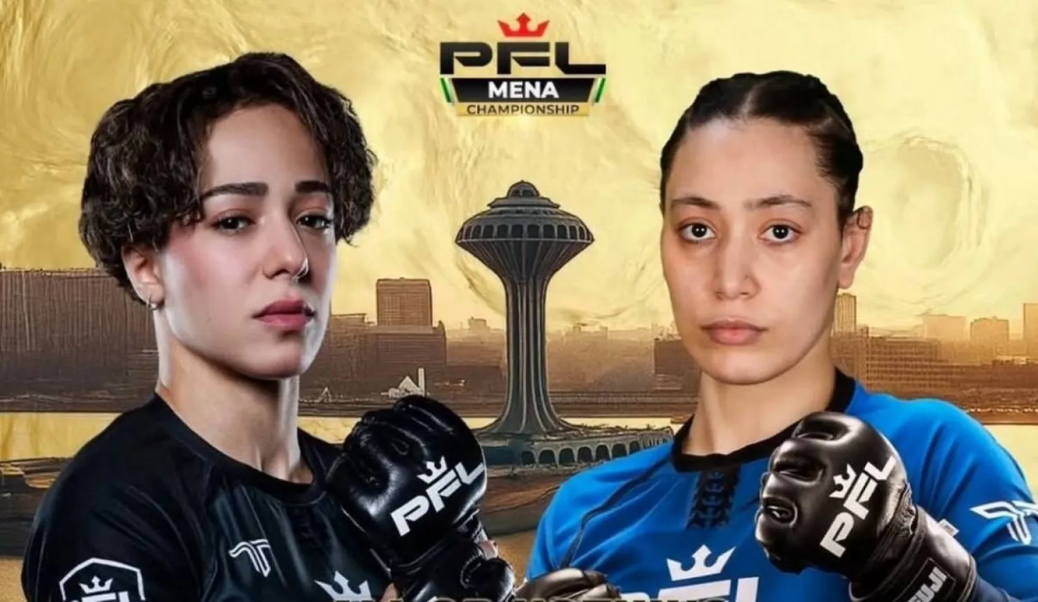 ترقب لنزال السيف وهايدي في الخامس من ديسمبر (الشرق الأوسط)